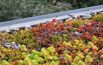 the cost of Aberlemno green roof installation