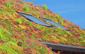Aberlemno living roof systems